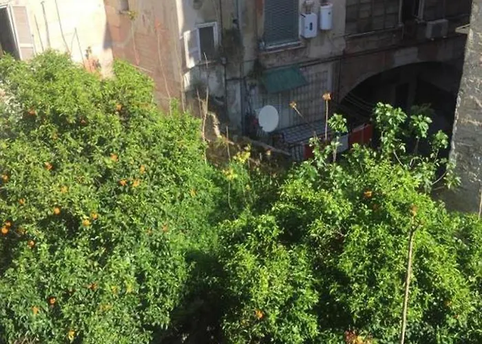Terrazza Il Miglio